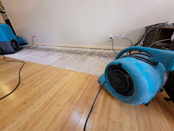 Professional Structural Drying technician working in Big Cabin, OK
